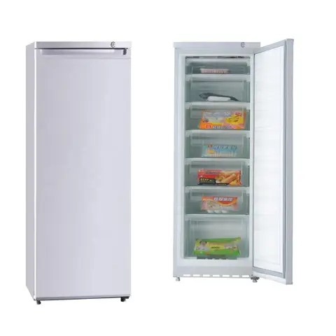 Vertical Deep Freezer