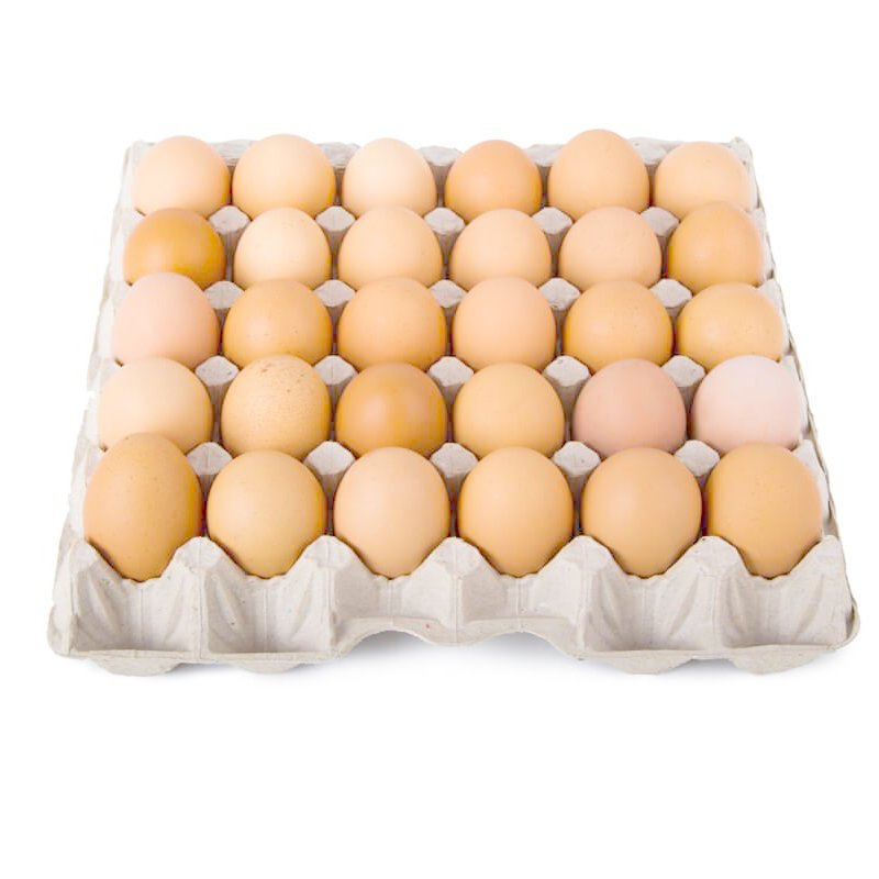 Farm-Fresh Organic Eggs