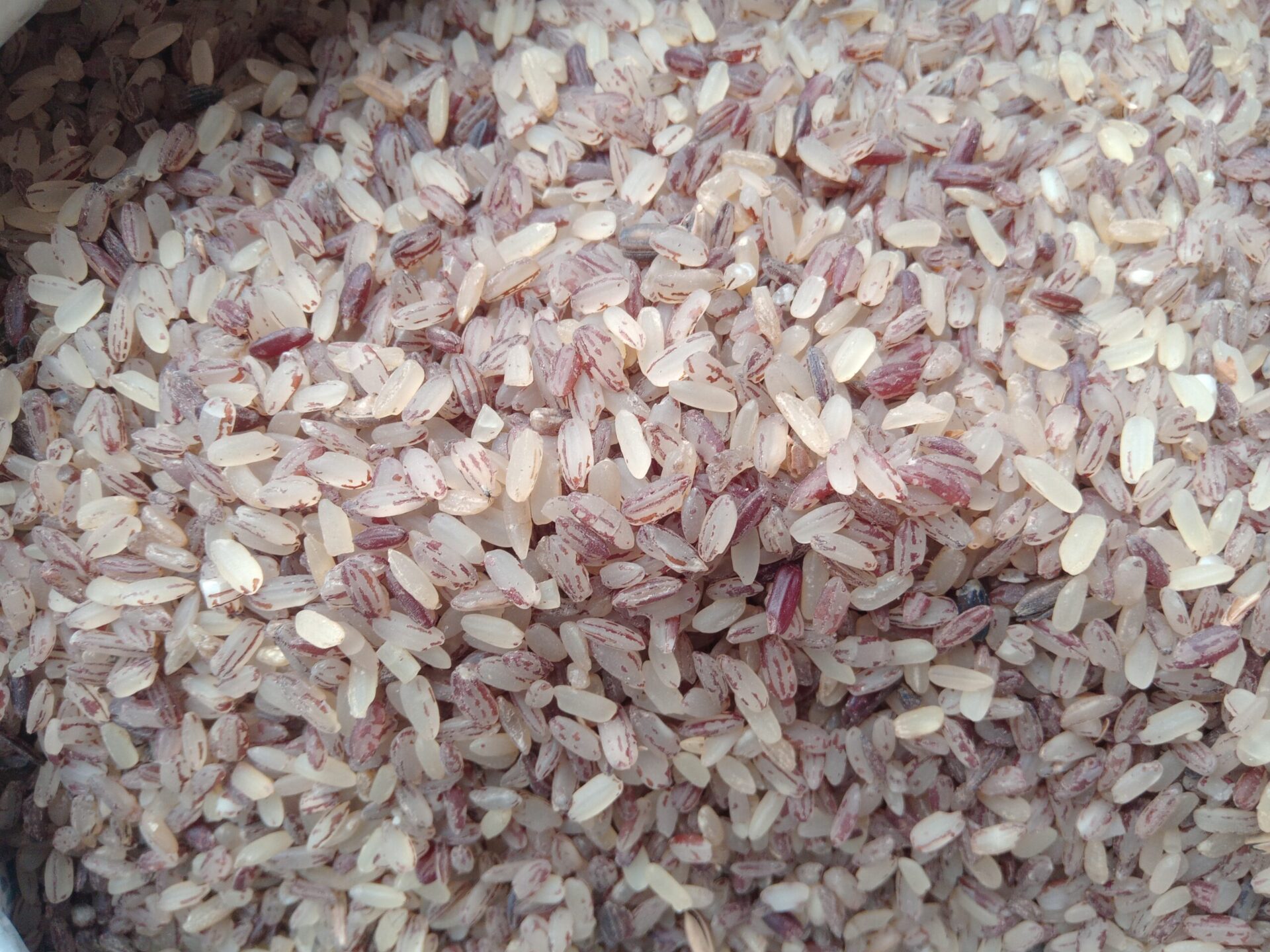 Premium Organic Ofada Rice(1kg)